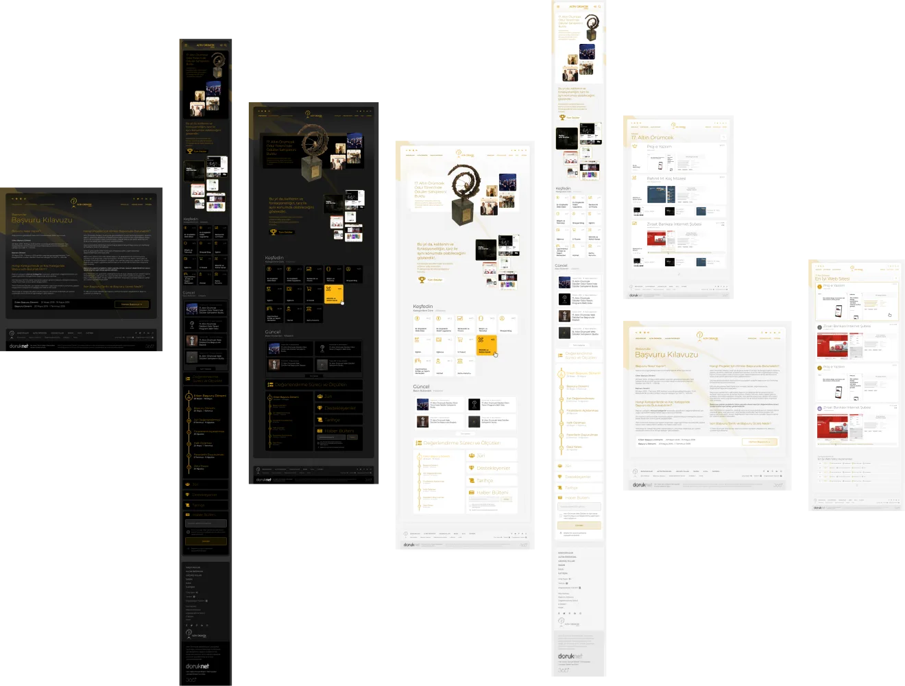 Altın &Ouml;r&uuml;mcek &mdash; project overview