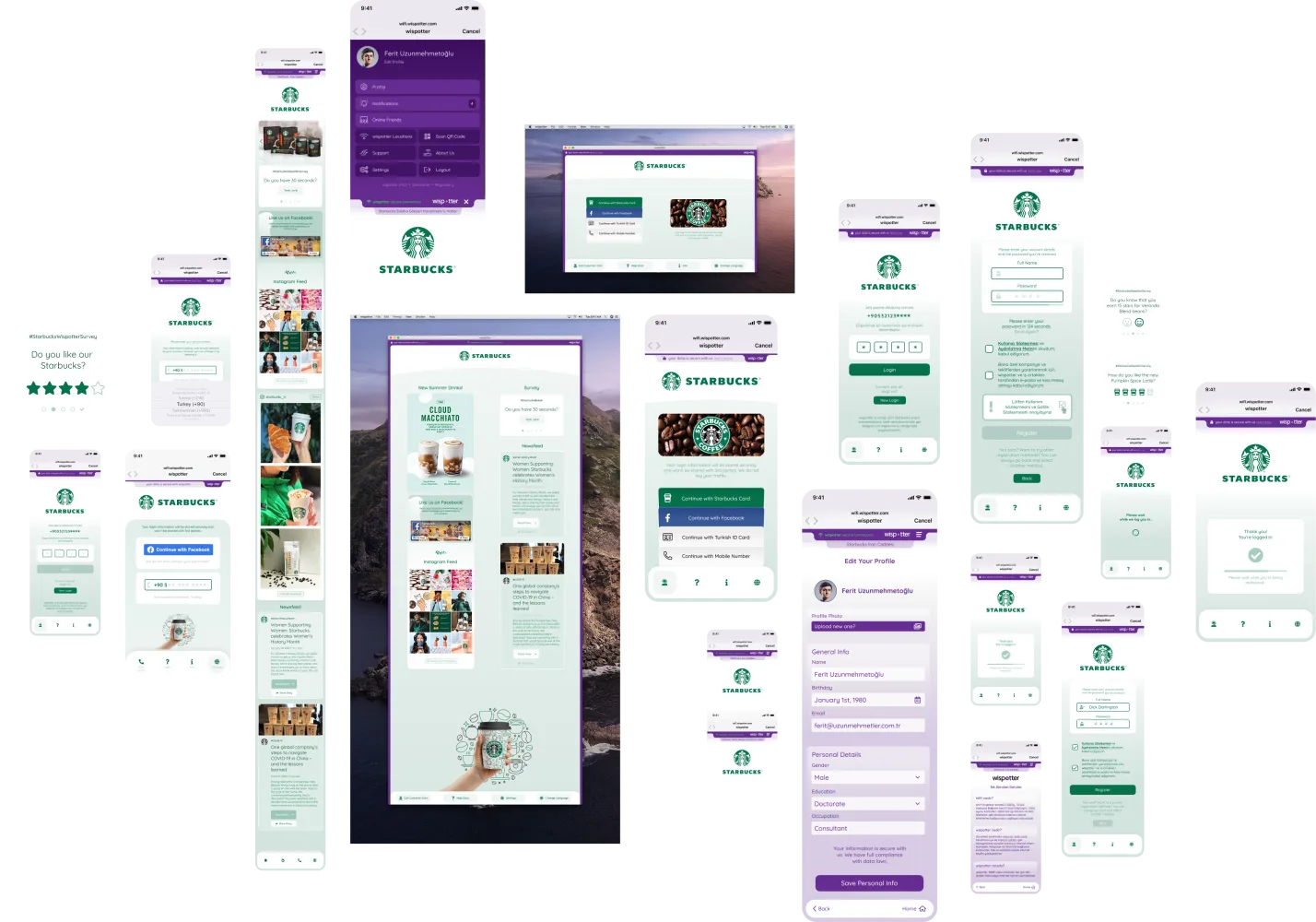Wispotter &mdash; project overview