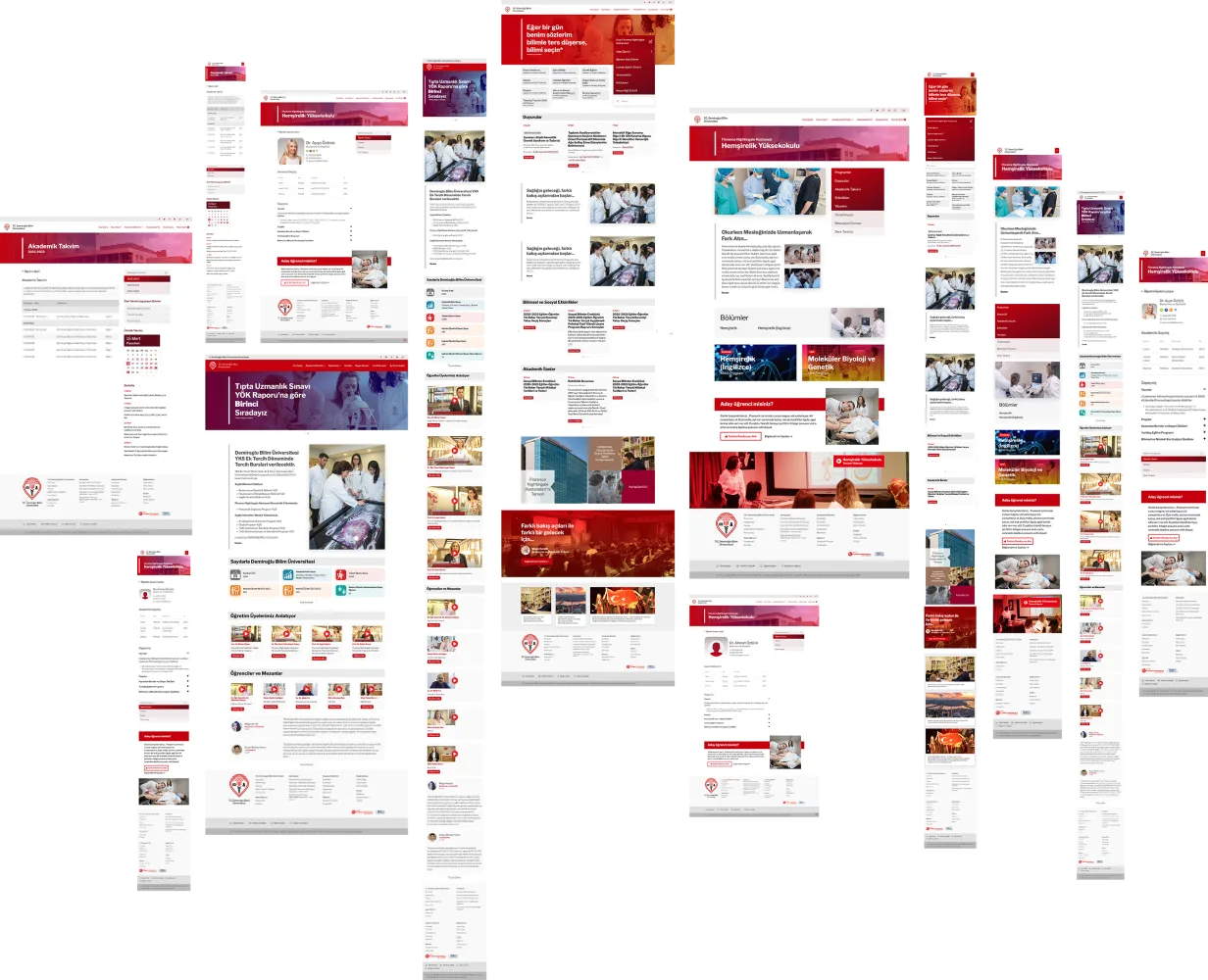 Demiroğlu Bilim University &mdash; project overview