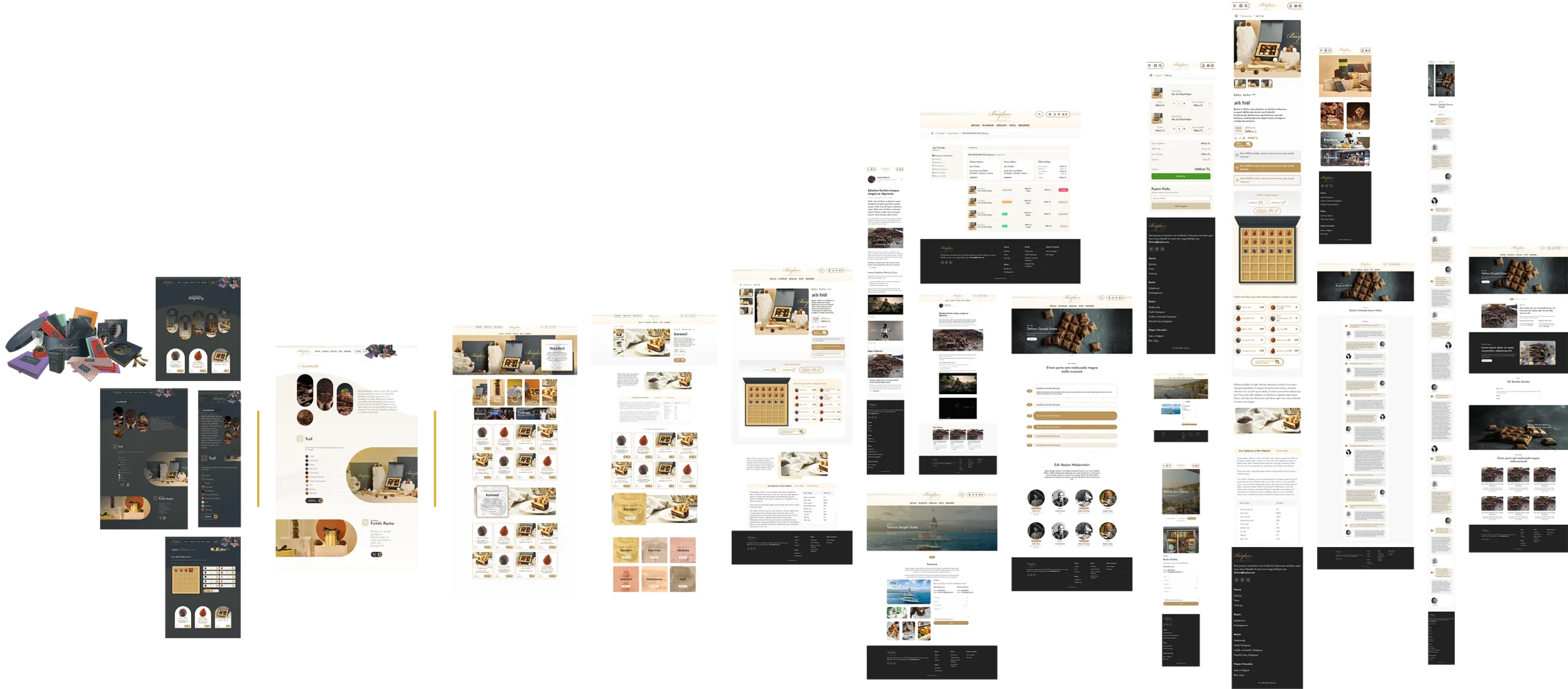Baylan &mdash; project overview