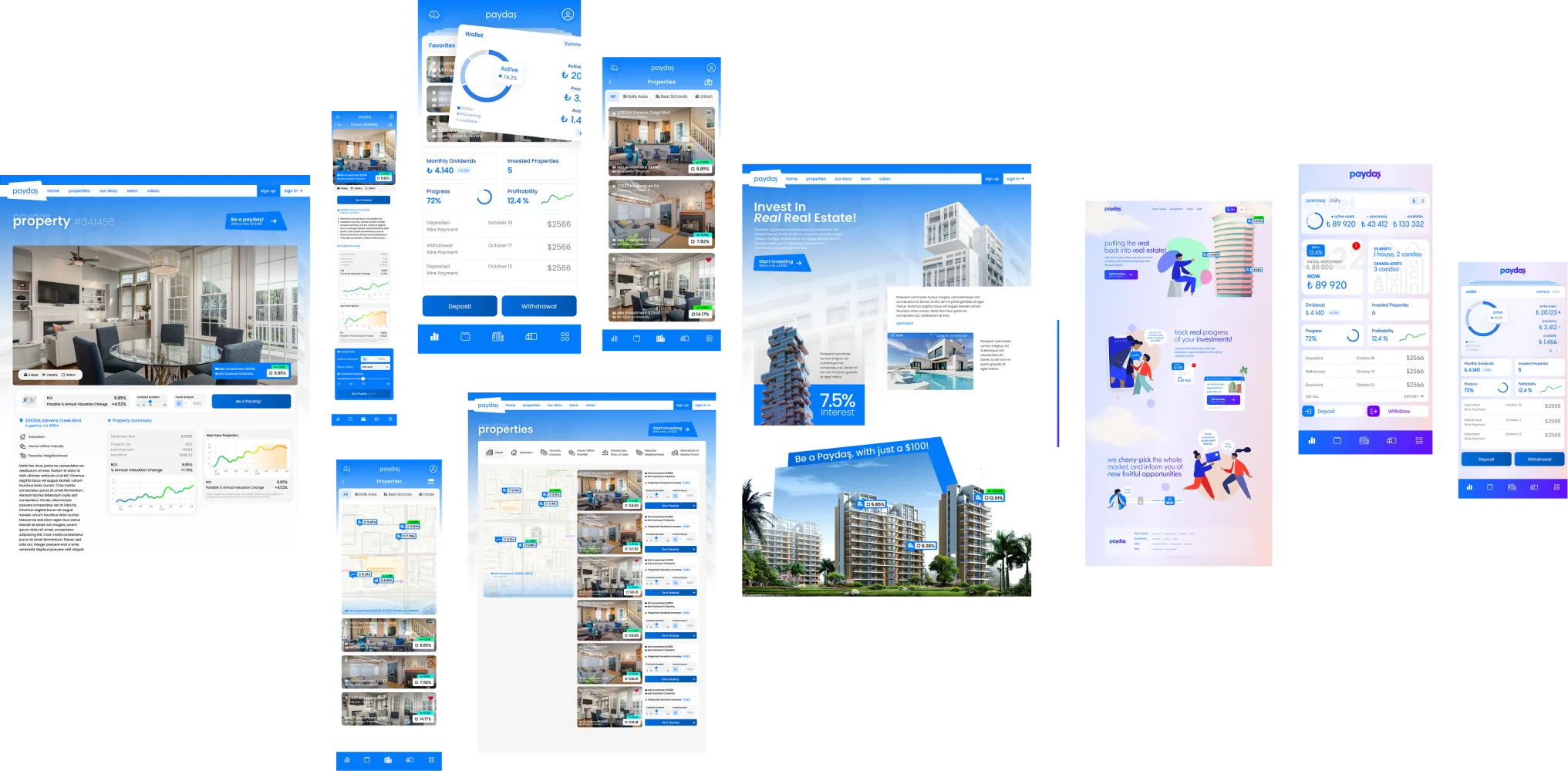 Paydaş MVP &mdash; project overview